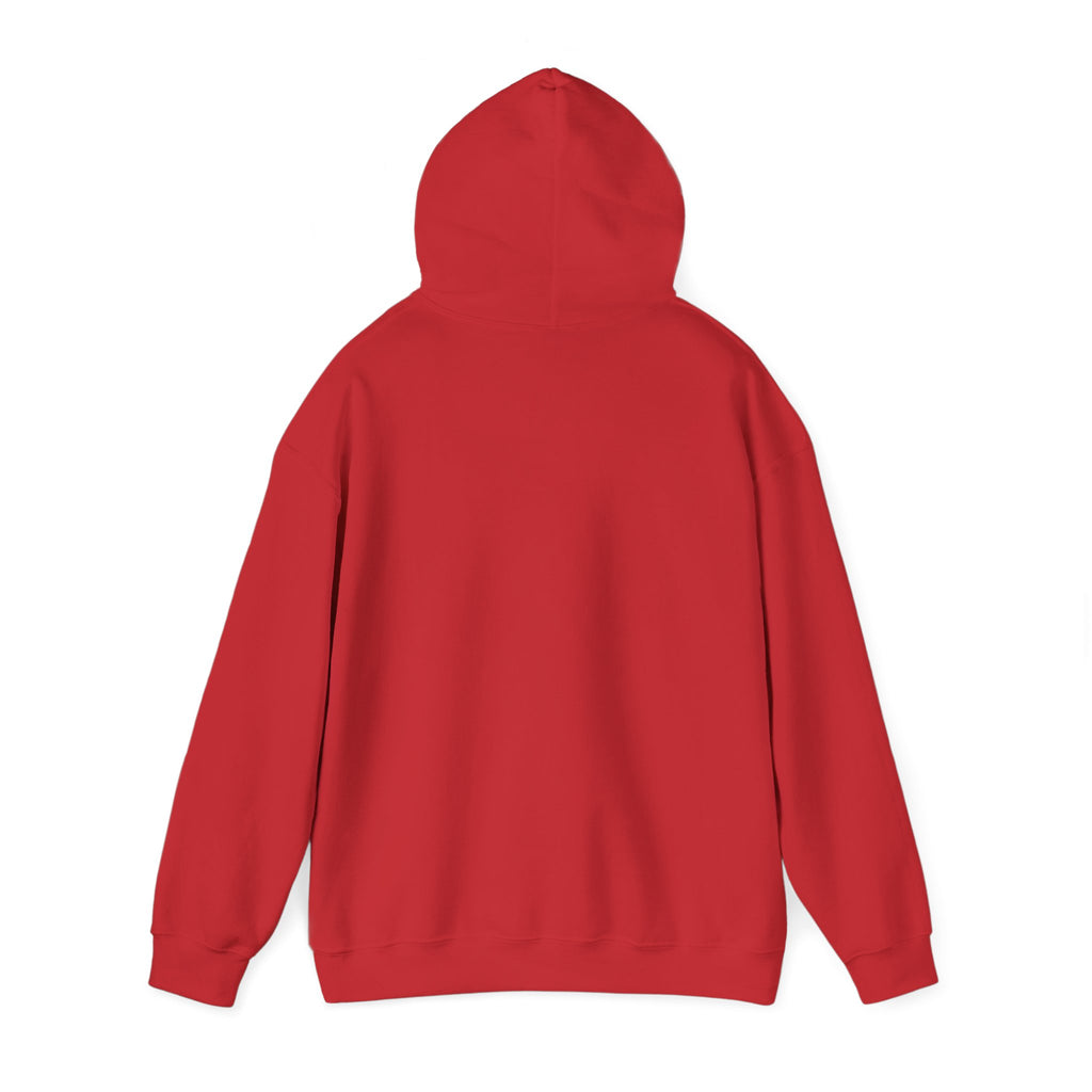 Barranquilla Bridge Hoodie — Colombian Cityscape Urban Travel Sweatshirt