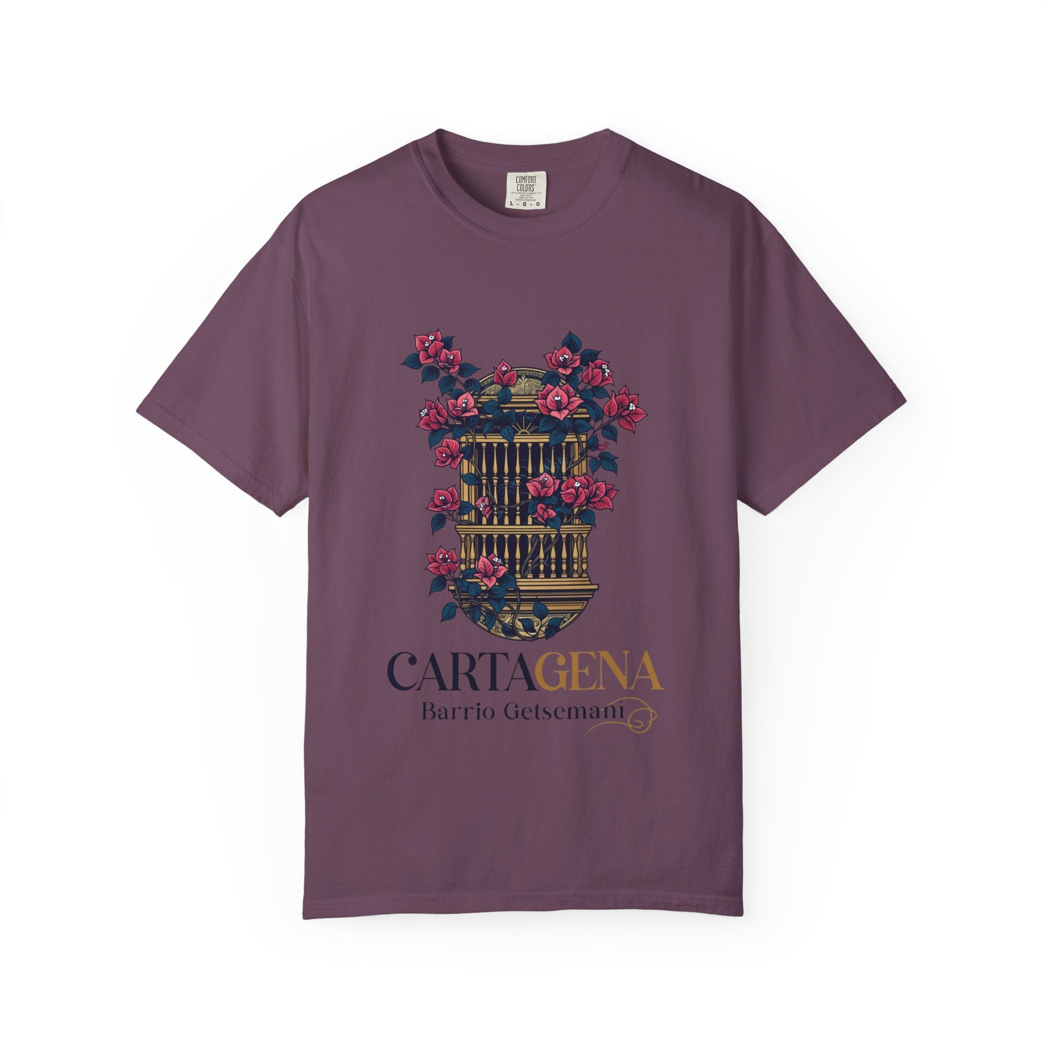 Cartagena Barrio Getsemaní Floral Window T-Shirt