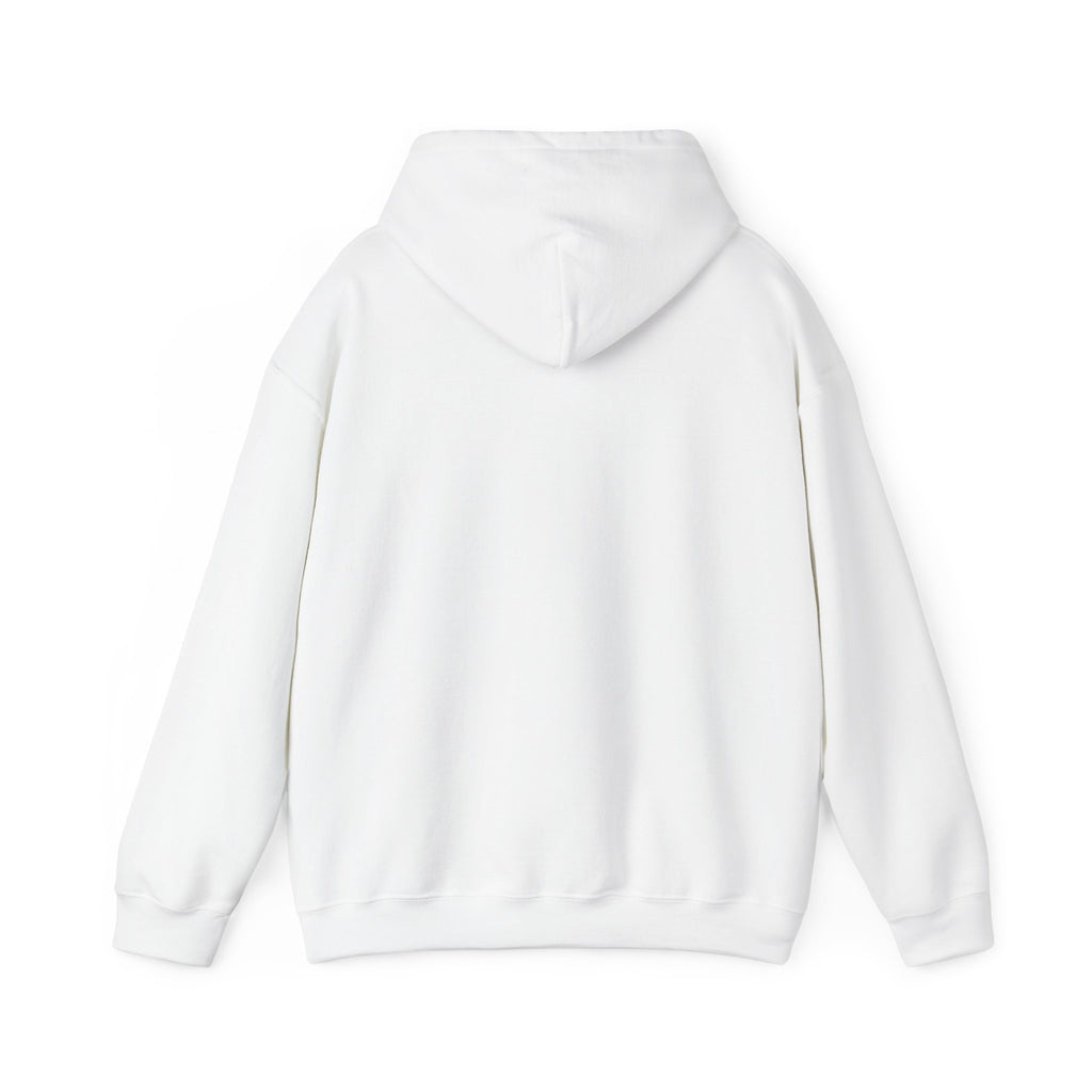 Barranquilla Bridge Hoodie — Colombian Cityscape Urban Travel Sweatshirt