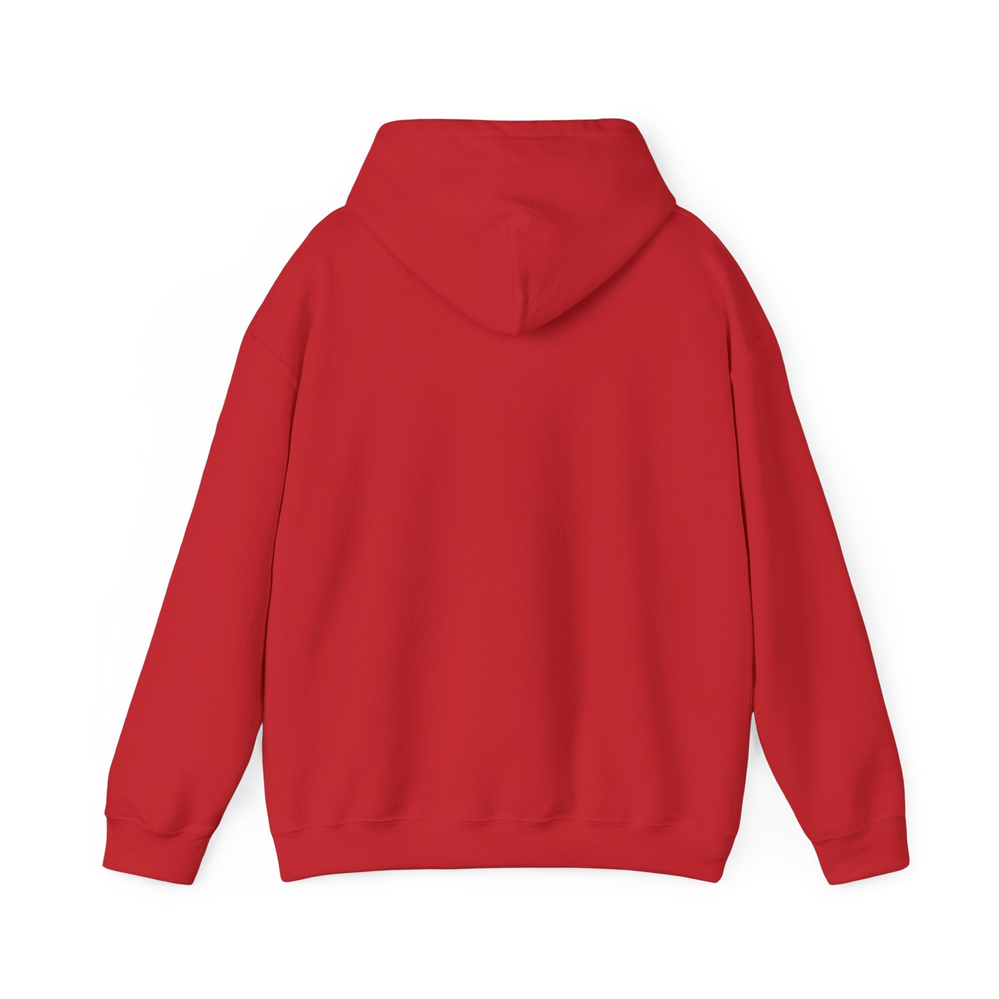 Barranquilla Bridge Hoodie — Colombian Cityscape Urban Travel Sweatshirt