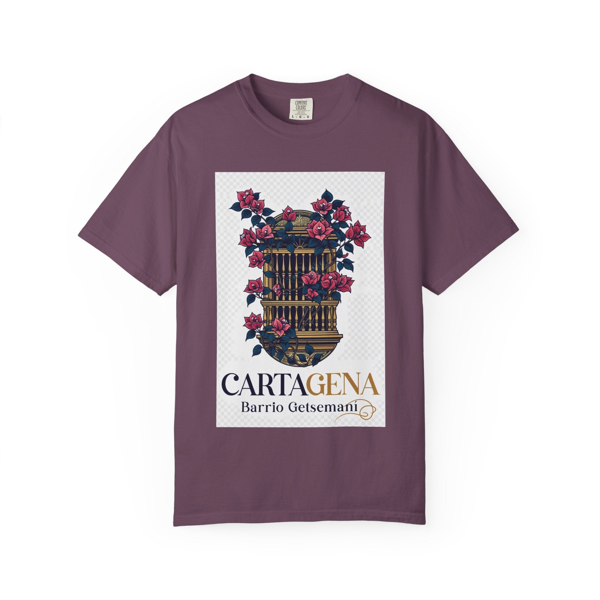 Cartagena Barrio Getsemaní Floral Window T-Shirt